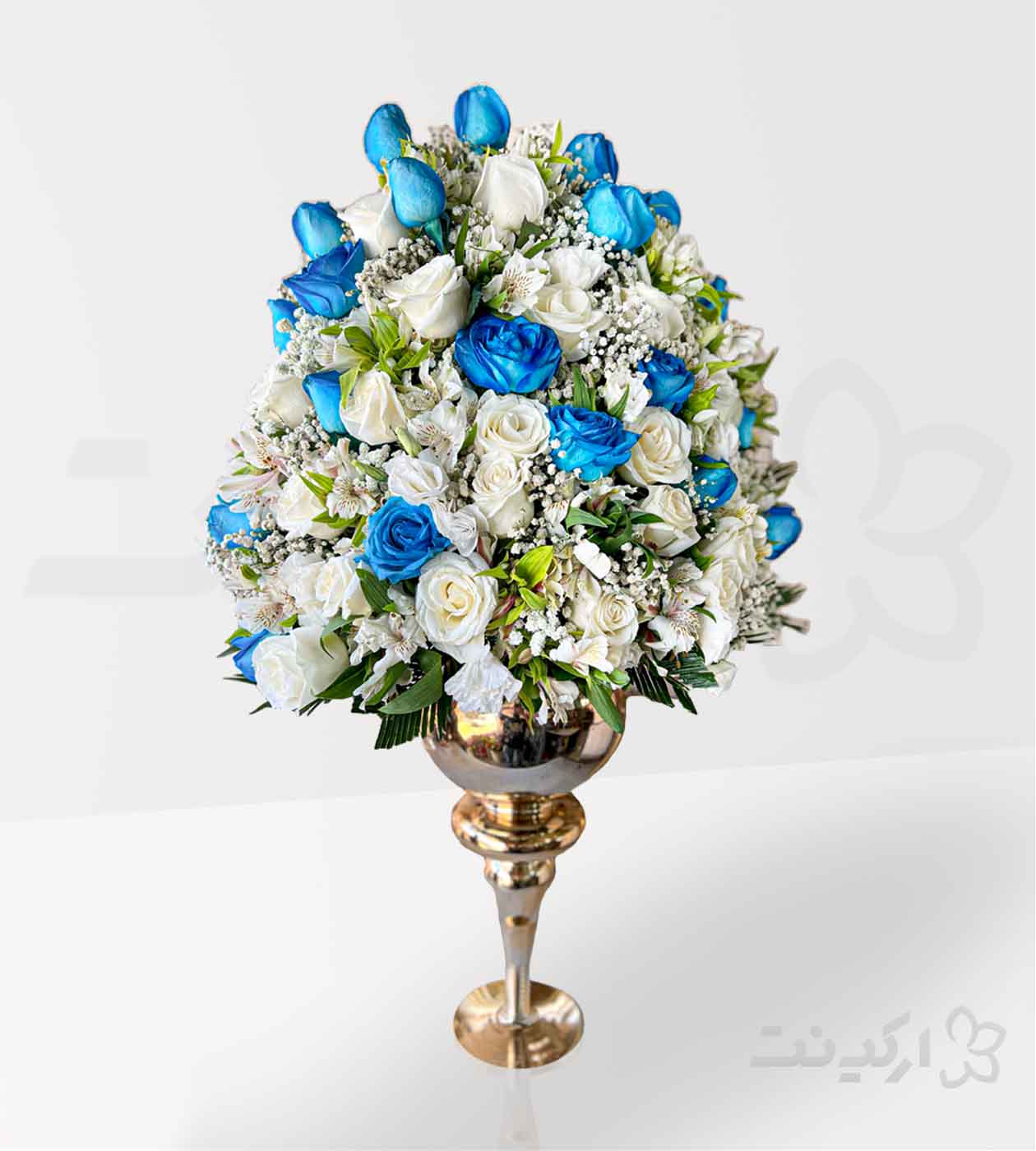 جام گل الیزا