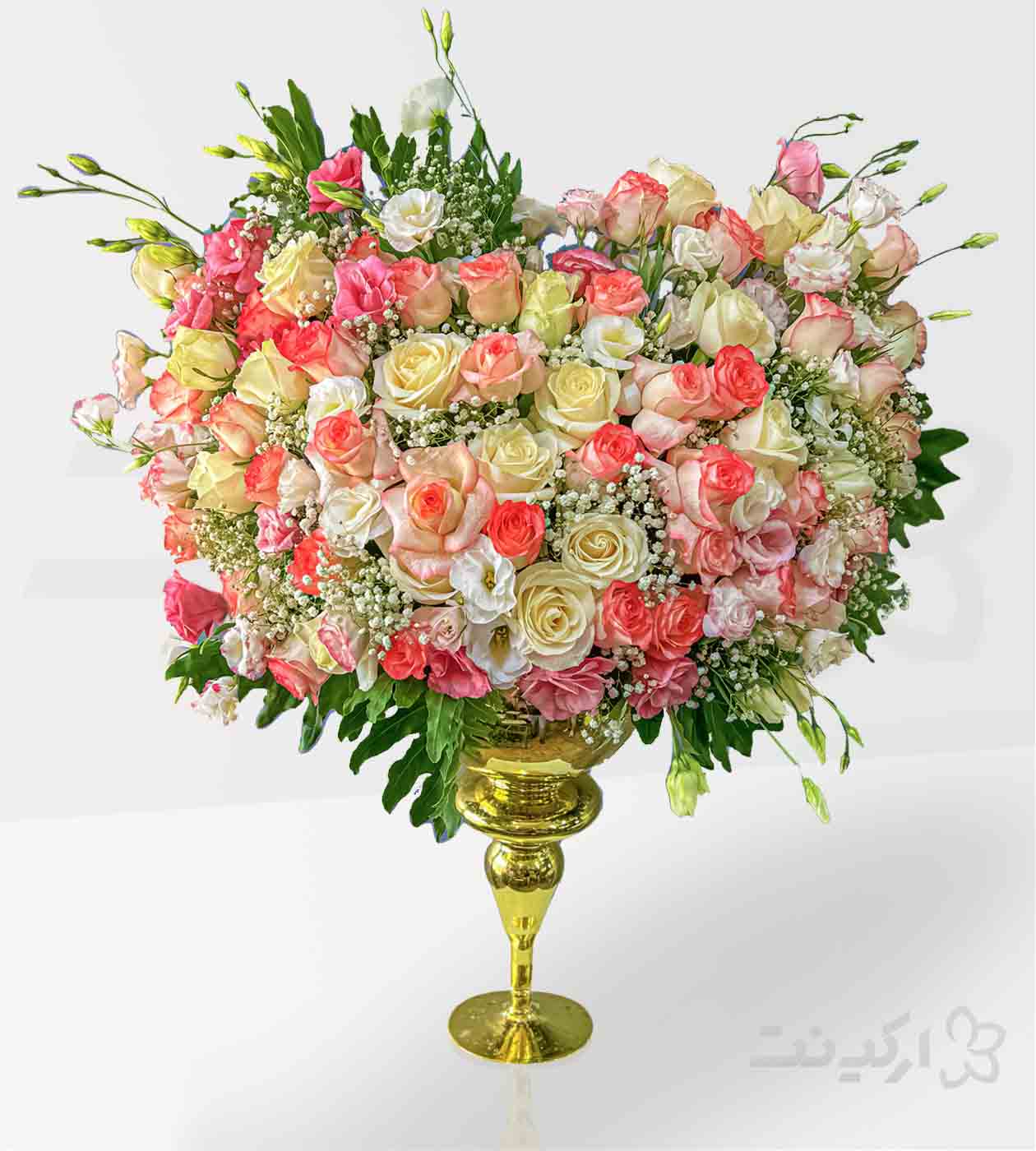 جام گل المیرا