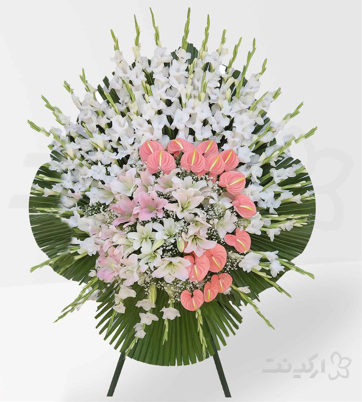 تاج گل تارا